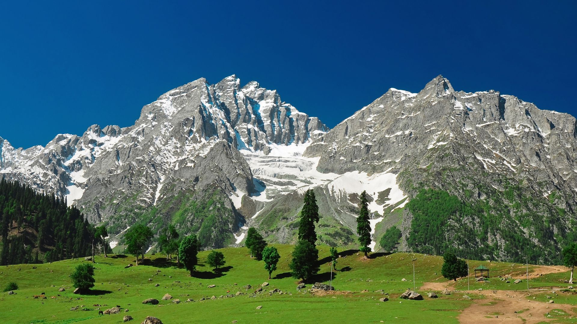 image description bannerimage